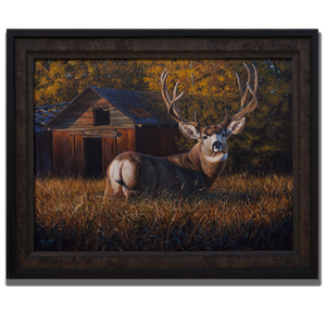 PEACE COUNTRY MONARCH (Framed)